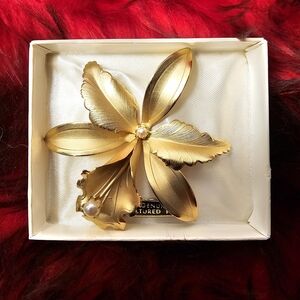 Vintage Elegant Gold Tone Botannical Flower Brooch Pin Pearl Accents in Box